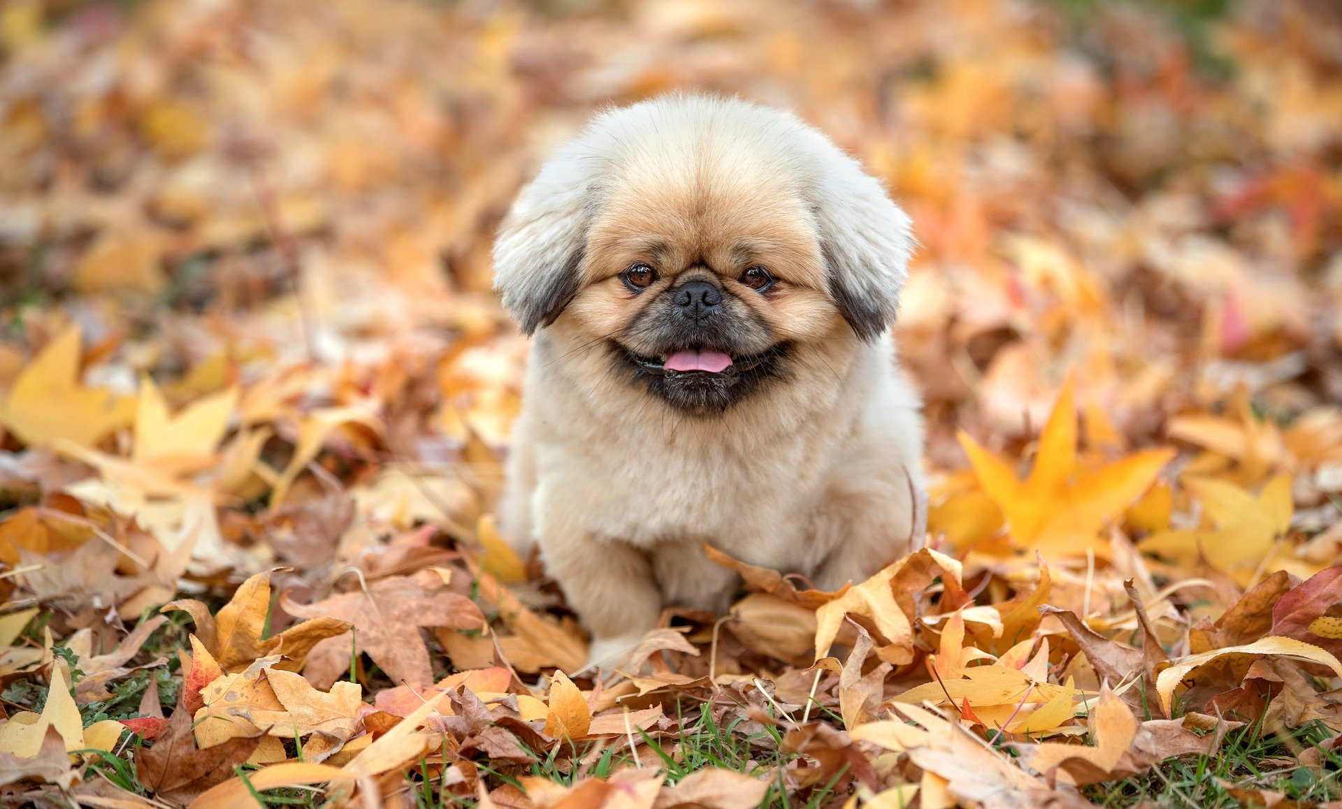 Sunt consequatur dolores.